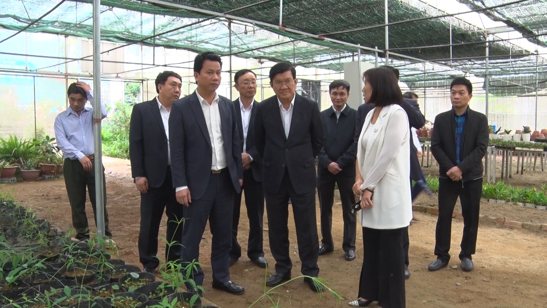 Nguyên Chủ tịch nước Trương Tấn Sang thăm vườn ươm Công ty Cổ phần phát triển Nông lâm nghiệp và môi trường Việt Nam tại huyện Vị Xuyên
