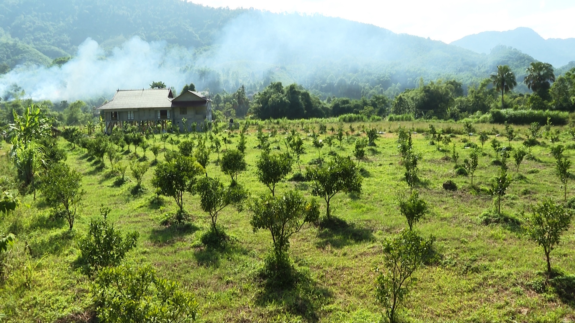 Người tiên phong thực hiện cải tạo vườn tạp ở xã Quảng Ngần, huyện Vị Xuyên.